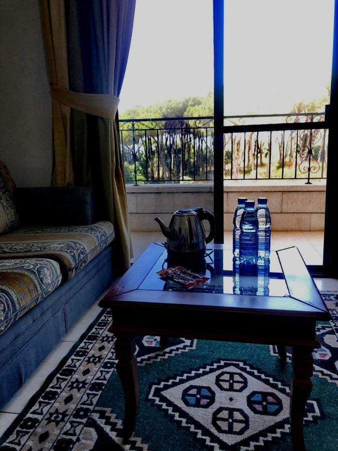 Dynasty Suite Aley Εξωτερικό φωτογραφία